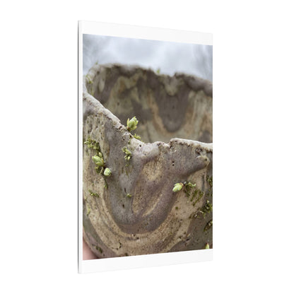 Overcast Ceramic Bowl Canvas Art - Japandi Fukinsei