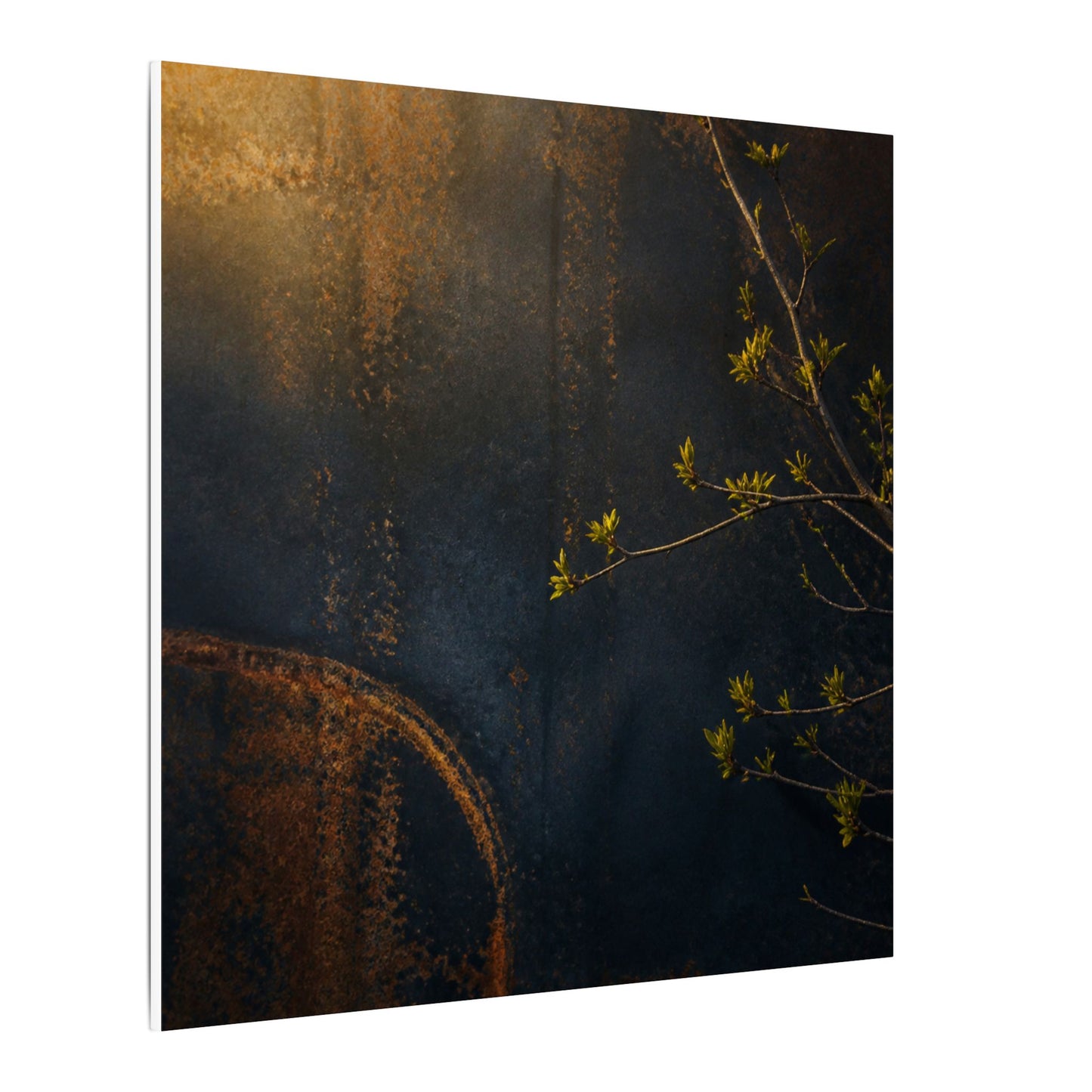 Spring Rust Patina Dark Texture Canvas Art | Moody Decor
