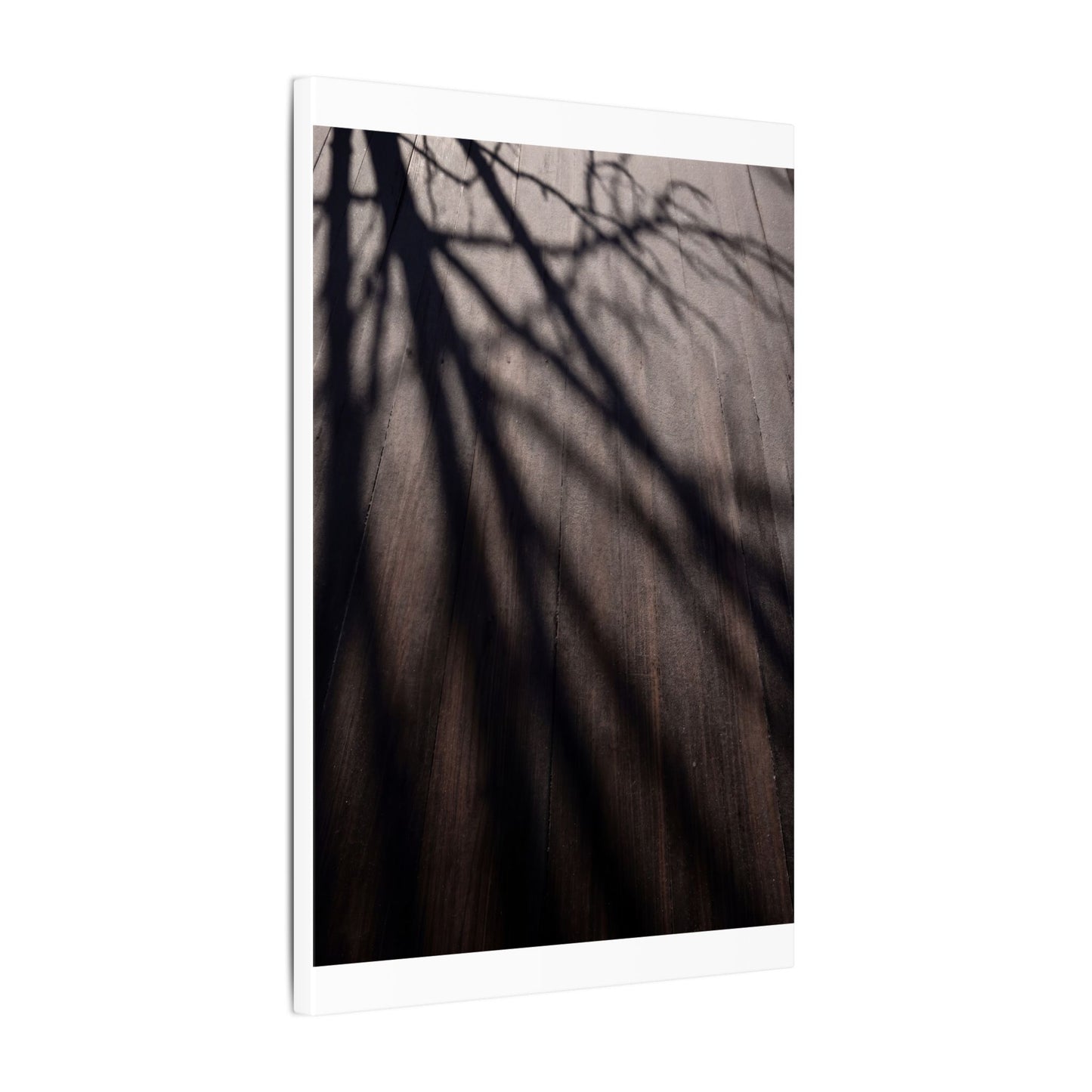 Dark Japandi Shadow Play in Dawn | Moody Minimal Canvas Art