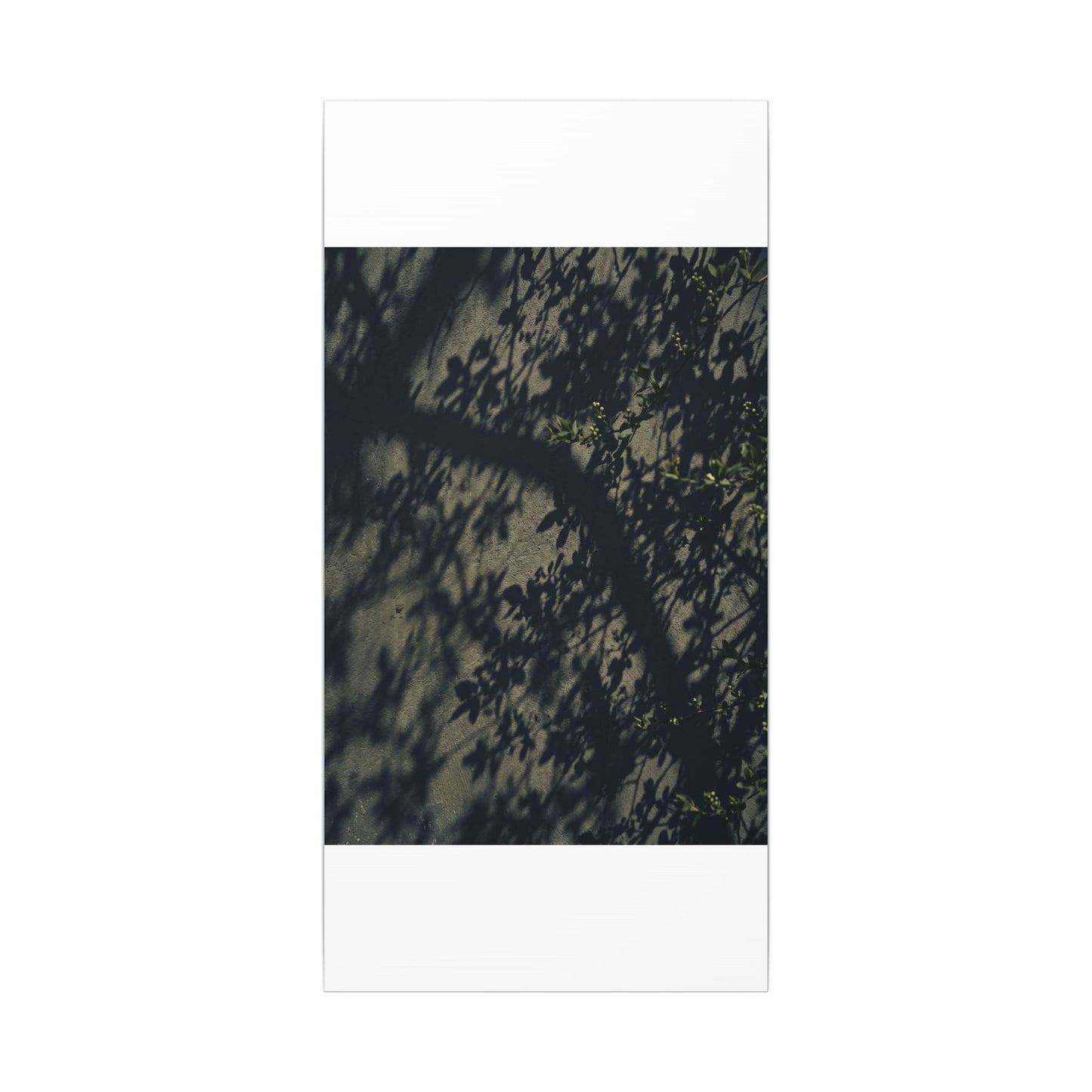 Atmospheric Shadow Play Canvas Art - Moody Minimal Dark Japandi