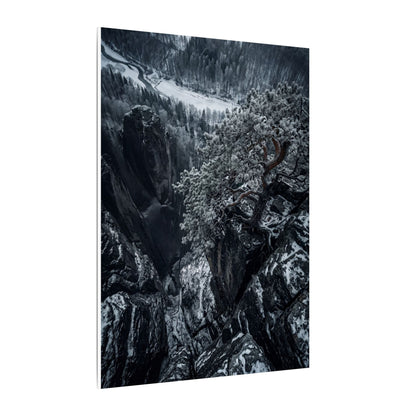 Dark Japandi Pine Tree in Dappled | Dark Texture Canvas Art