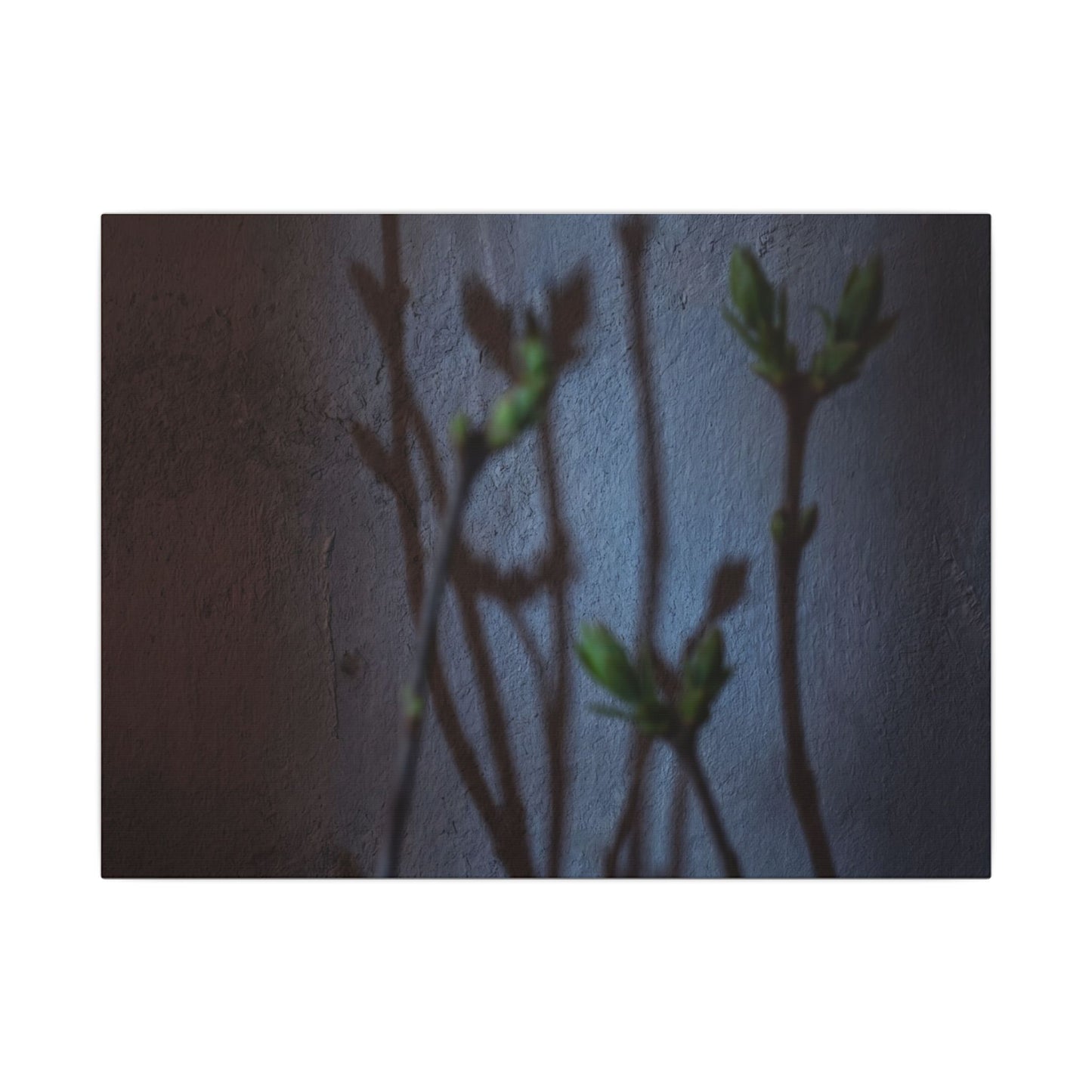 Shadow Play Spring Canvas Art | Dark Japandi Sophisticated Design