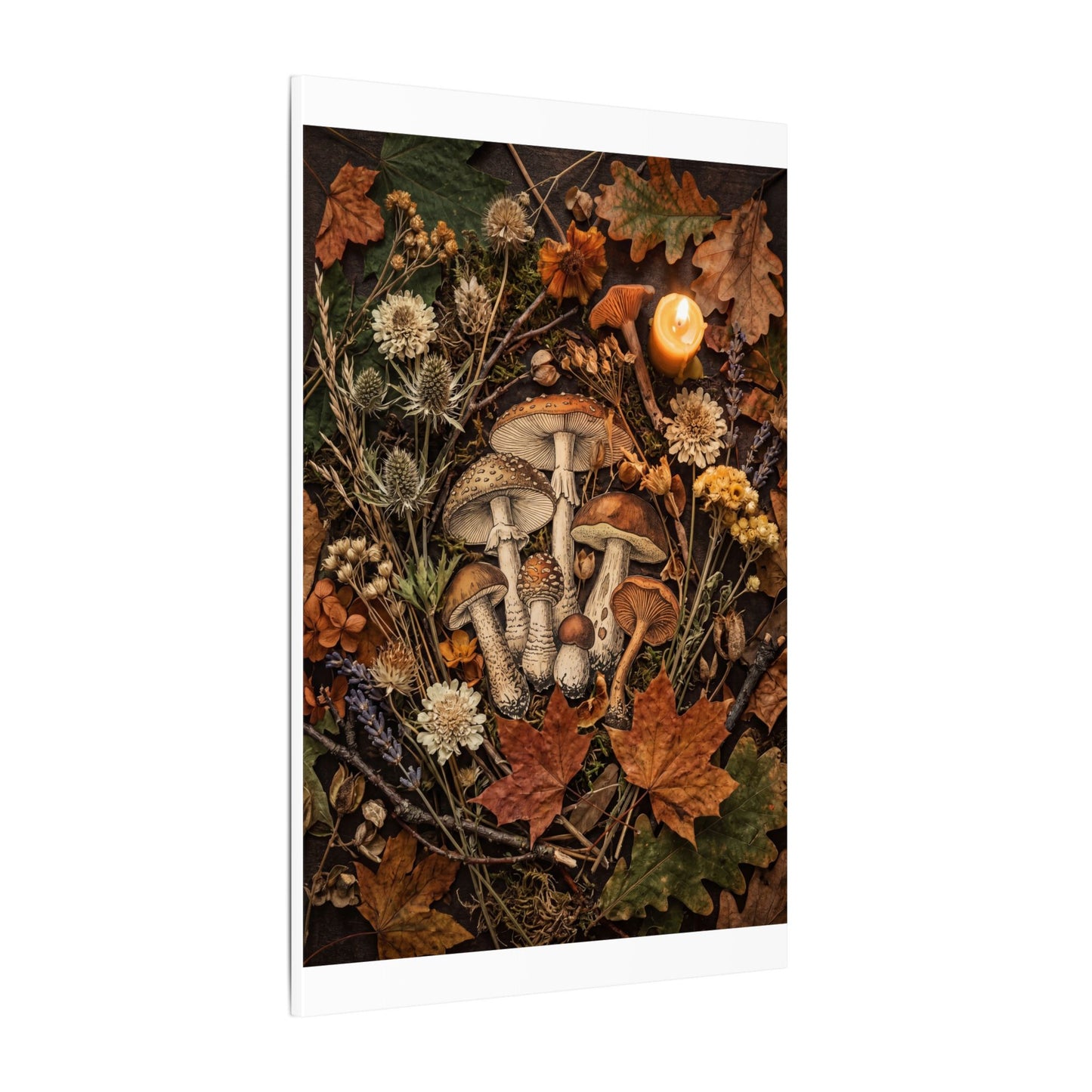 Autumn Dried Flowers Mushroom Illustration Canvas Art | Earthy Decor