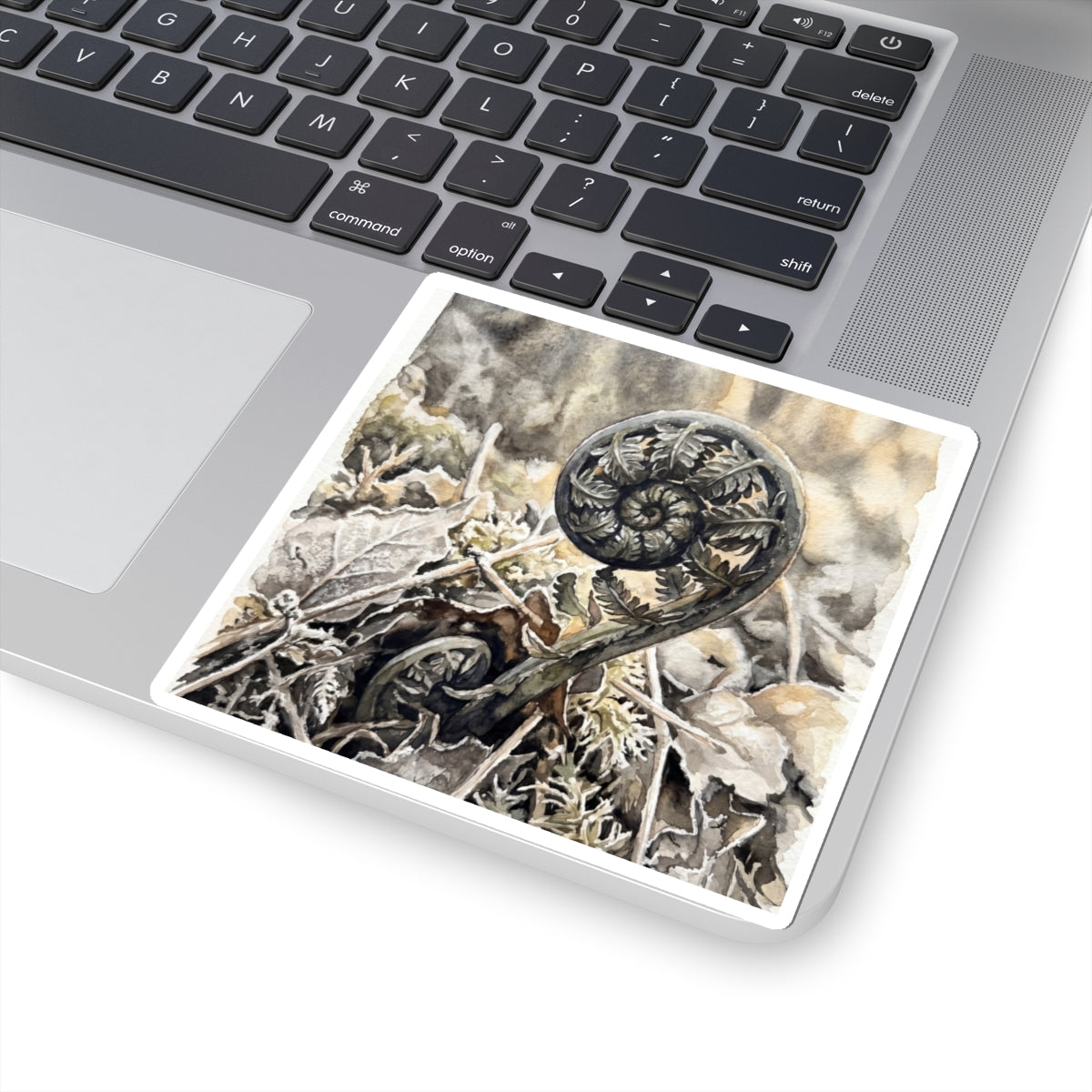 Cozy Fern Unfurling Sticker - Watercolor Japandi