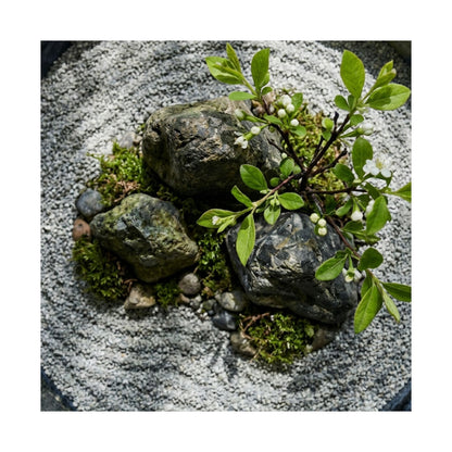Ceramic Bowl Spring Wall Art Print | Zen Tranquil Design