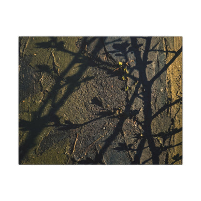 Kanso Shadow Play Canvas Art - Dark Japandi Dark Texture Art Print