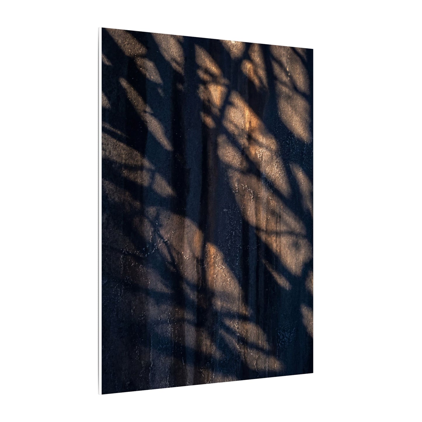 Dark Japandi Shadow Play in Golden Hour | Shadow Zen Canvas Art