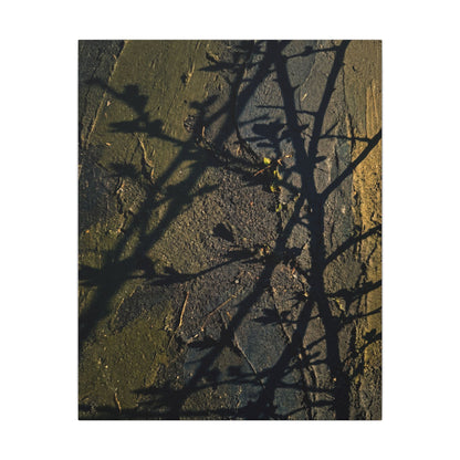 Kanso Shadow Play Canvas Art - Dark Japandi Dark Texture