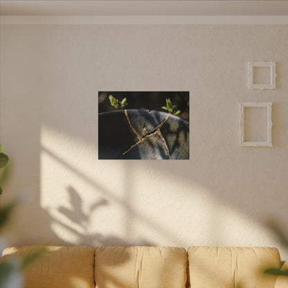 Seijaku Broken Pottery Canvas Art - Dark Japandi Shadow Zen