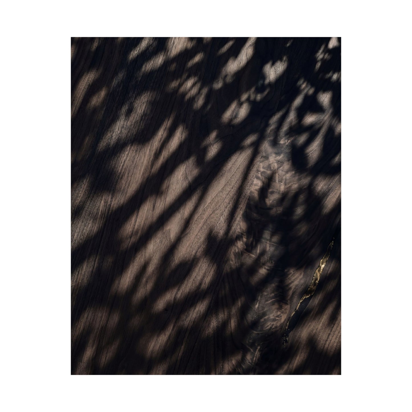 Datsuzoku Shadow Play Wall Art Print - Dark Japandi Shadow Zen