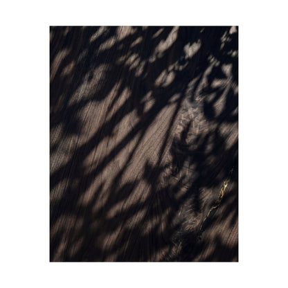 Datsuzoku Shadow Play Wall Art Print - Dark Japandi Shadow Zen