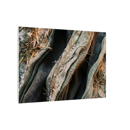 Silk Drape Winter Canvas Art | Japandi Cozy Design