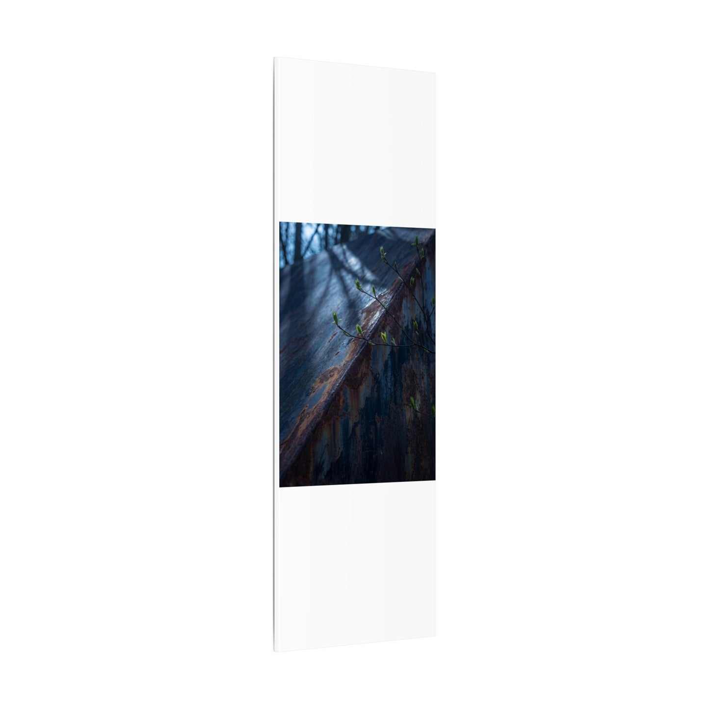 Rust Patina Canvas Art | Spring Dark Japandi Shadow Zen Art