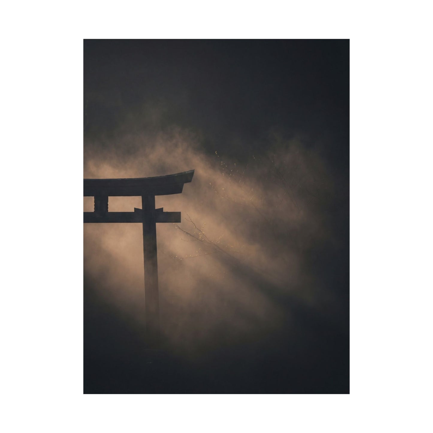 Spring Torii Gate Shadow Zen Wall Art Print | Luxurious Decor