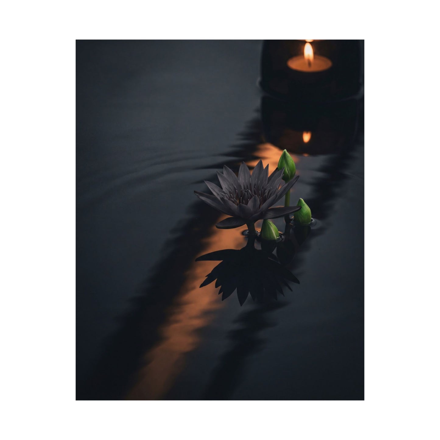 Candlelight Lotus Flower Wall Art Print - Dark Japandi Seijaku