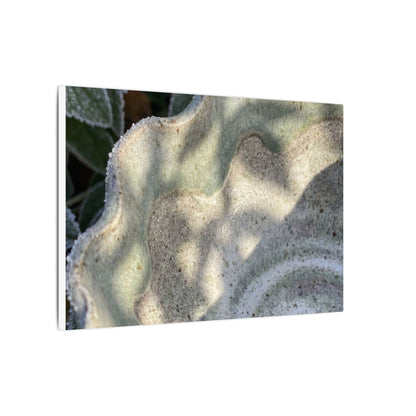 Dappled Ceramic Bowl Canvas Art - Japandi Seijaku