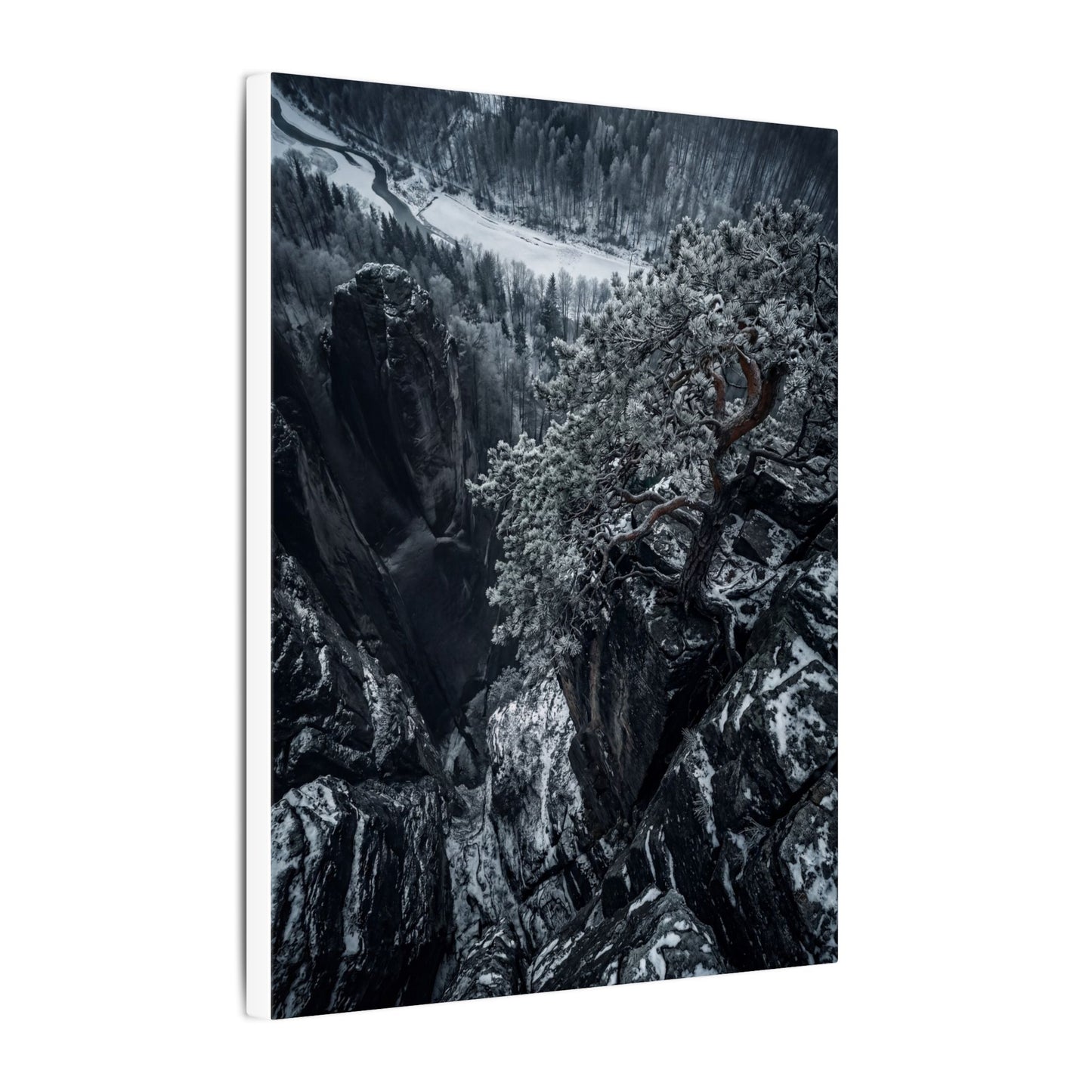 Dark Japandi Pine Tree in Dappled | Dark Texture Canvas Art