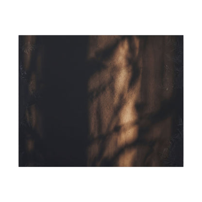 Winter Shadow Play Moody Minimal Canvas Art | Luxurious Decor