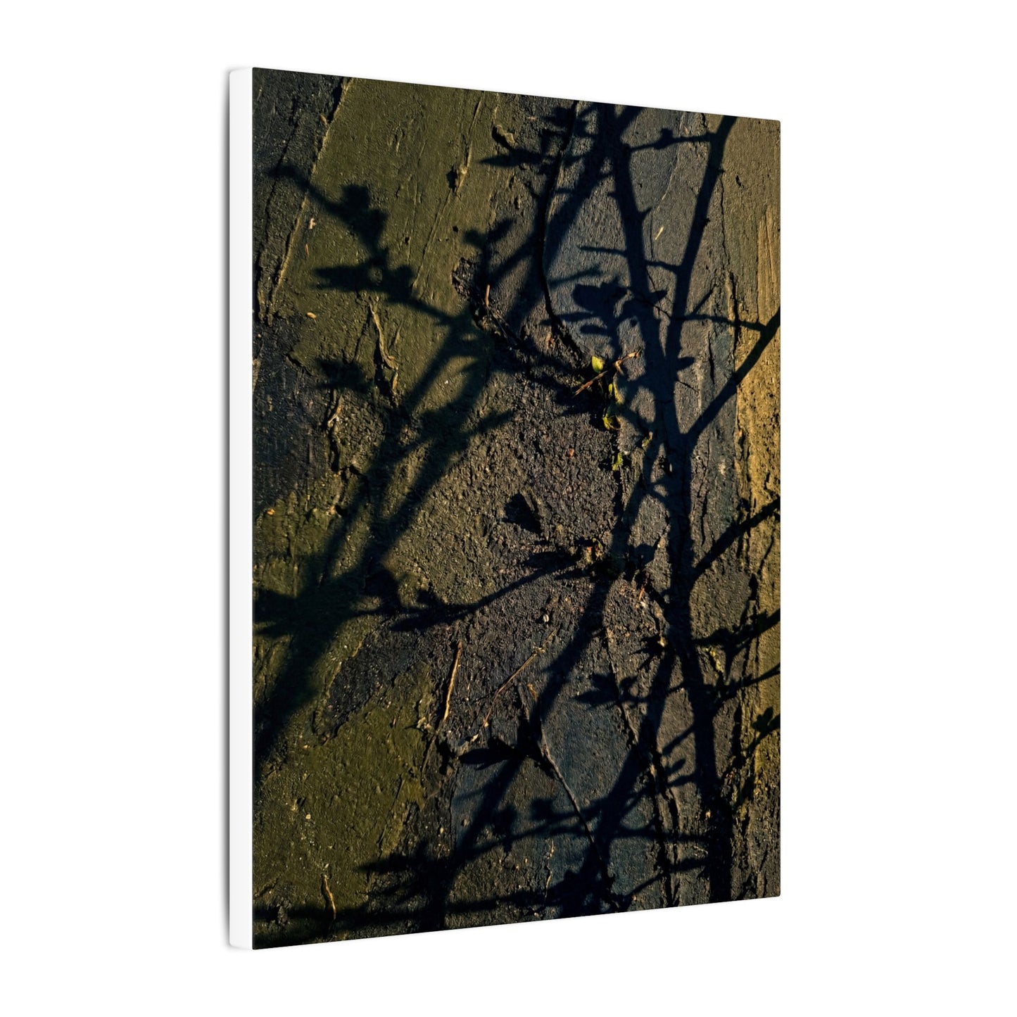 Kanso Shadow Play Canvas Art - Dark Japandi Dark Texture