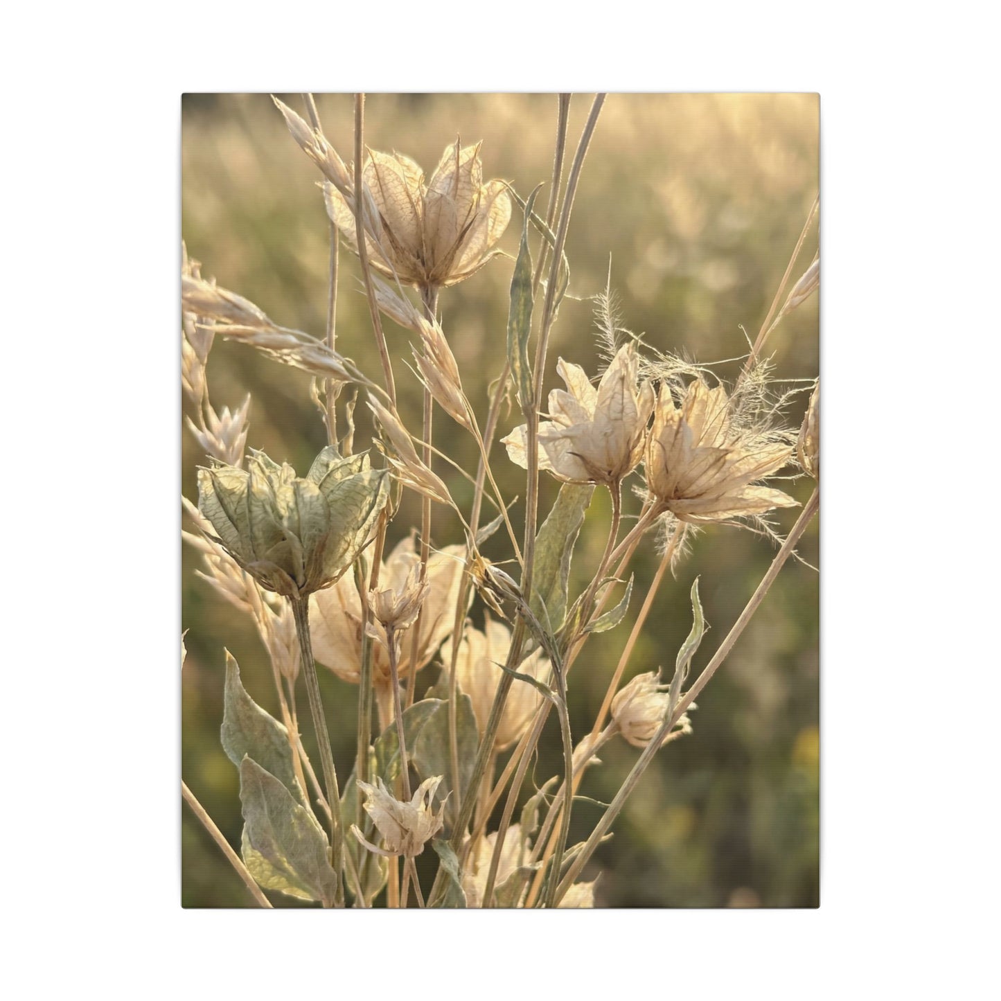 Summer Dried Flowers Minimal Line Canvas Art | Cozy Decor