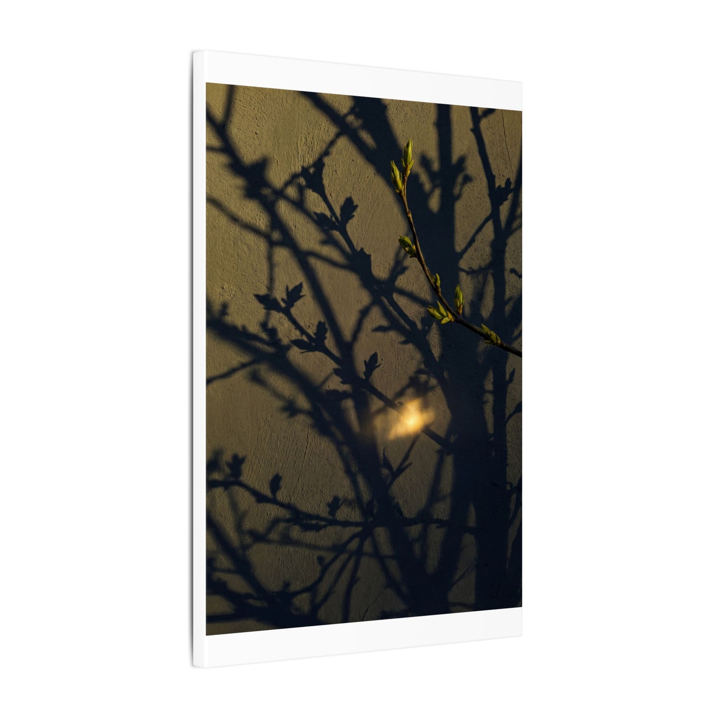 Bold Shadow Play Canvas Art - Moody Minimal Dark Japandi