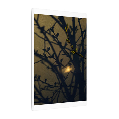 Bold Shadow Play Canvas Art - Moody Minimal Dark Japandi