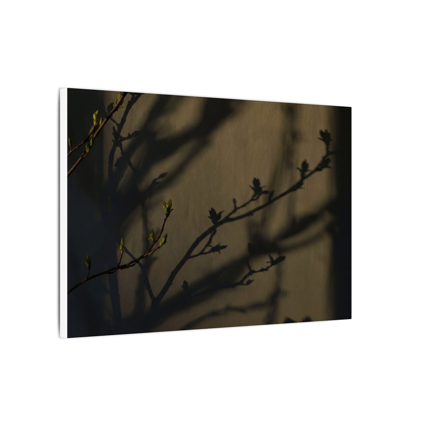 Seijaku Shadow Play Canvas Art - Dark Japandi Charcoal Ink