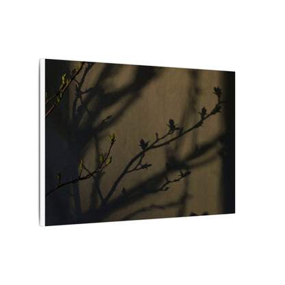 Seijaku Shadow Play Canvas Art - Dark Japandi Charcoal Ink