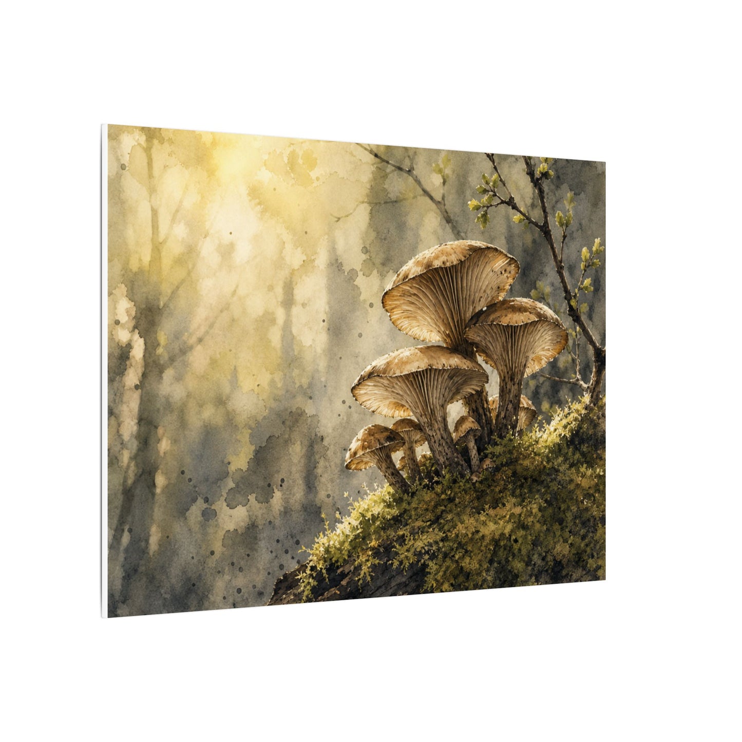 Wild Mushrooms Canvas Art | Spring Japandi Watercolor Art
