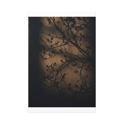 Dark Japandi Shadow Play in Golden Hour | Shadow Zen Canvas Art