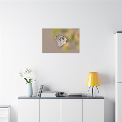 Ceramic Bowl Canvas Art | Spring Japandi Japanese Pattern Art