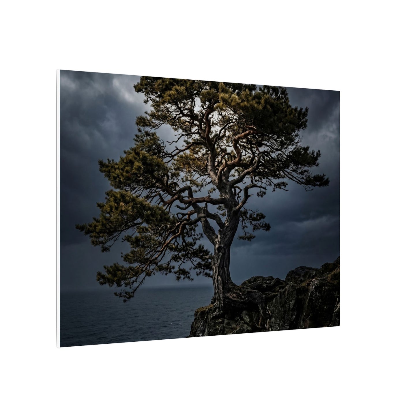 Dappled Pine Tree Canvas Art - Dark Japandi Fukinsei