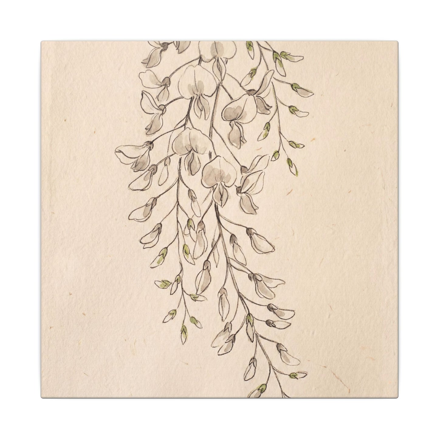 Japandi Wisteria in Golden Hour | Minimal Line Canvas Art