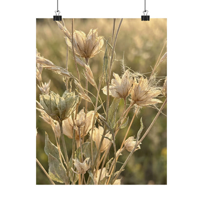 Cozy Dried Flowers Wall Art Print - Minimal Line Japandi Art Print