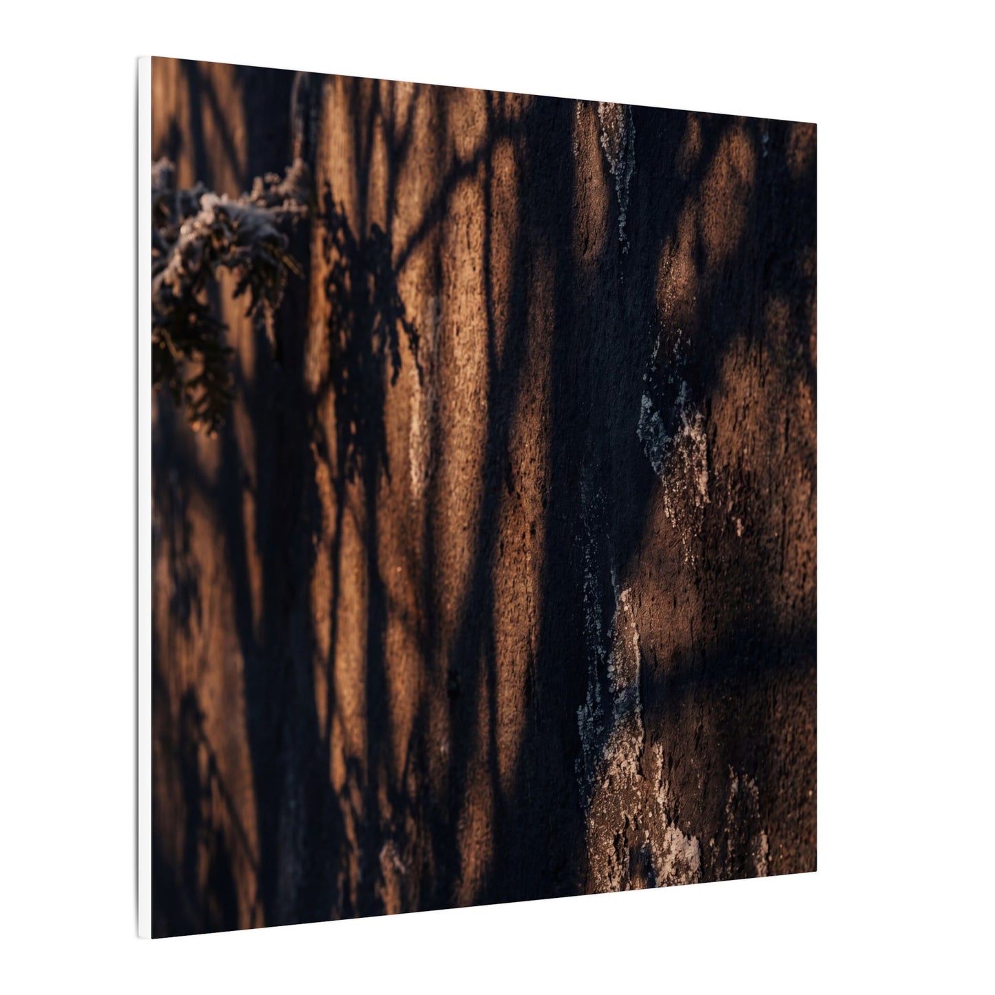 Golden Hour Shadow Play Canvas Art - Dark Japandi Fukinsei