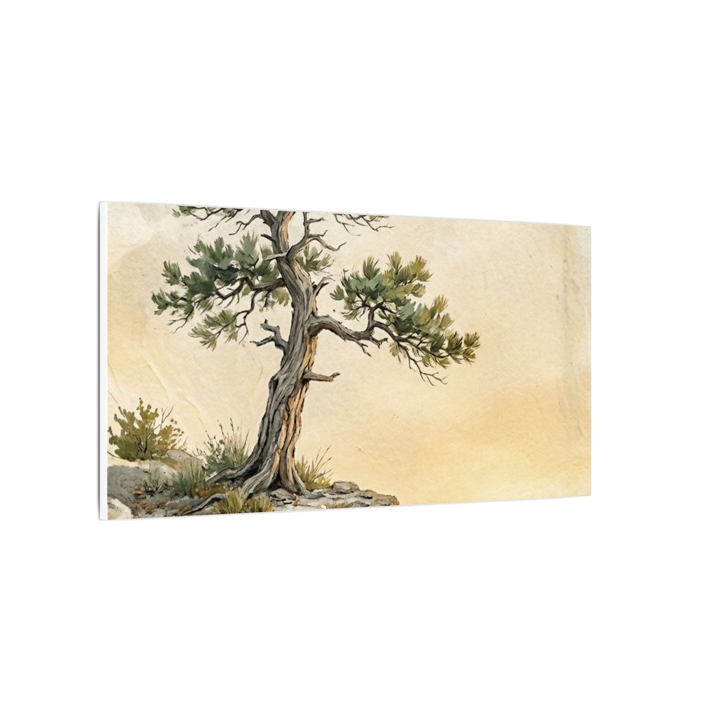 Pine Tree Canvas Art | Summer Japandi Texture Art