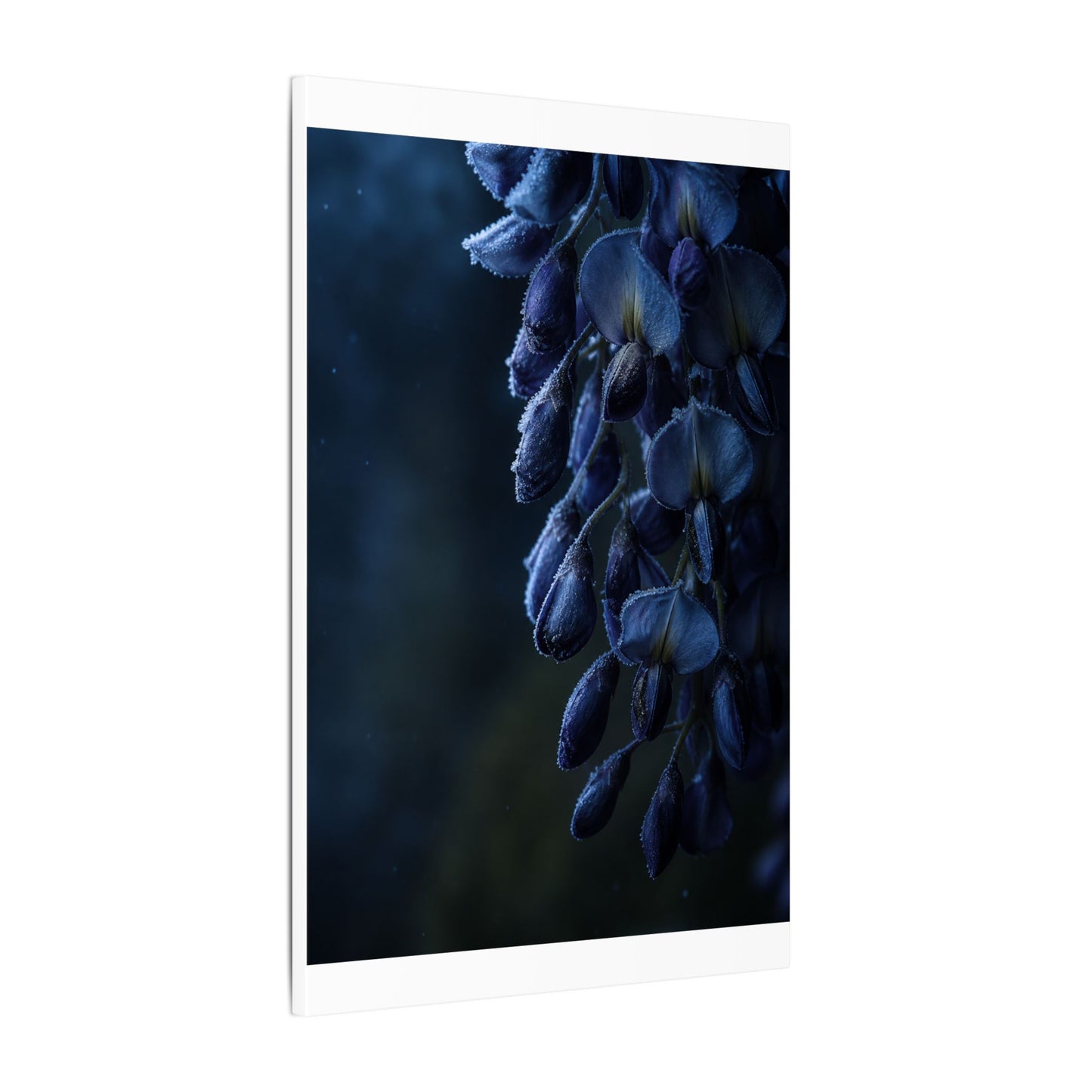 Winter Wisteria Shadow Zen Canvas Art | Atmospheric Decor