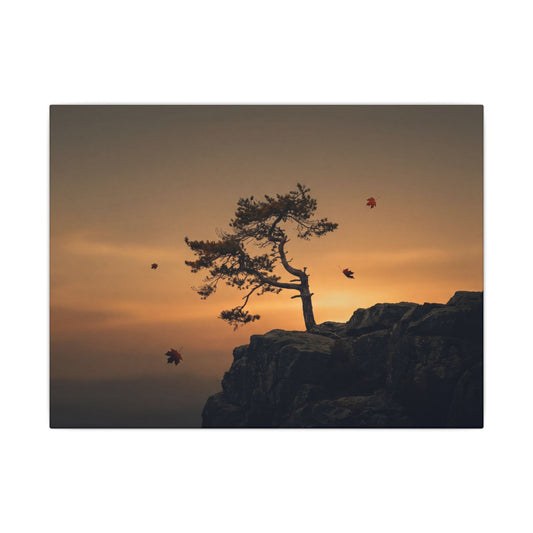 Dark Japandi Pine Tree in Golden Hour | Moody Minimal Canvas Art Art Print