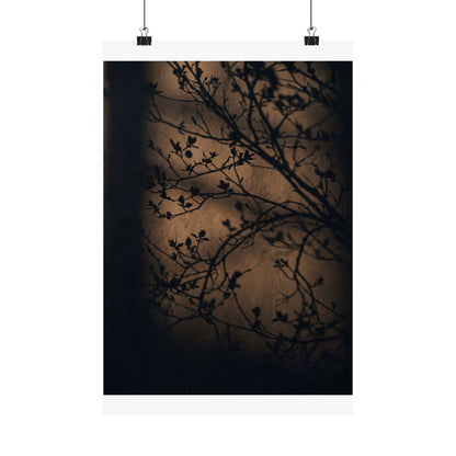 Sophisticated Shadow Play Wall Art Print - Shadow Zen Dark Japandi Art Print