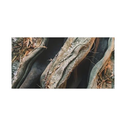 Silk Drape Winter Canvas Art | Japandi Cozy Design