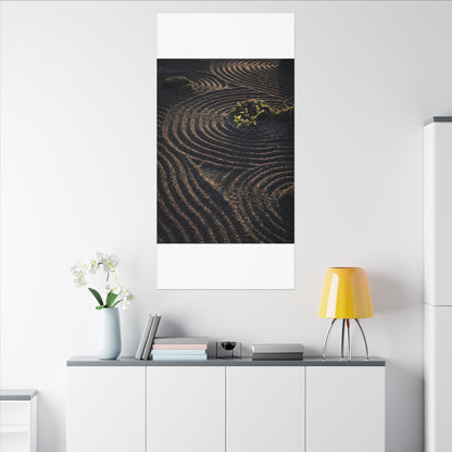 Spring Rock Garden Shadow Zen Canvas Art | Atmospheric Decor