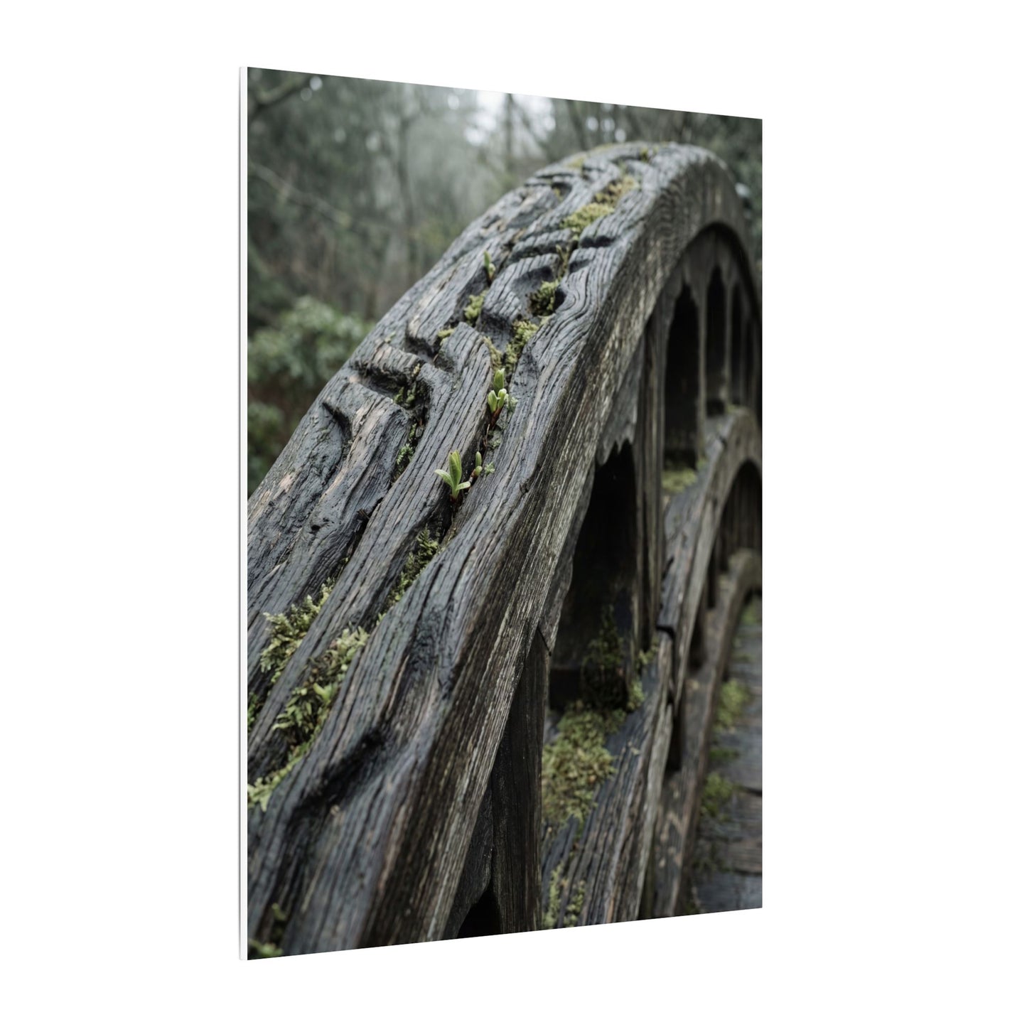 Overcast Wooden Bridge Canvas Art - Japandi Kanso