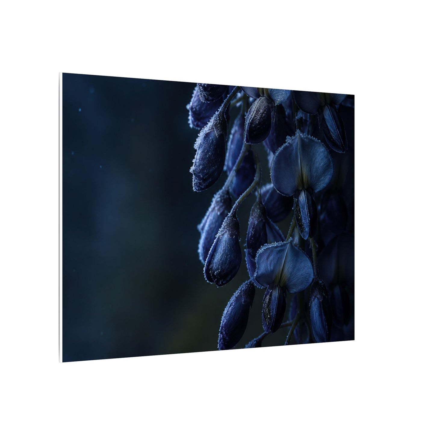 Winter Wisteria Shadow Zen Canvas Art | Atmospheric Decor