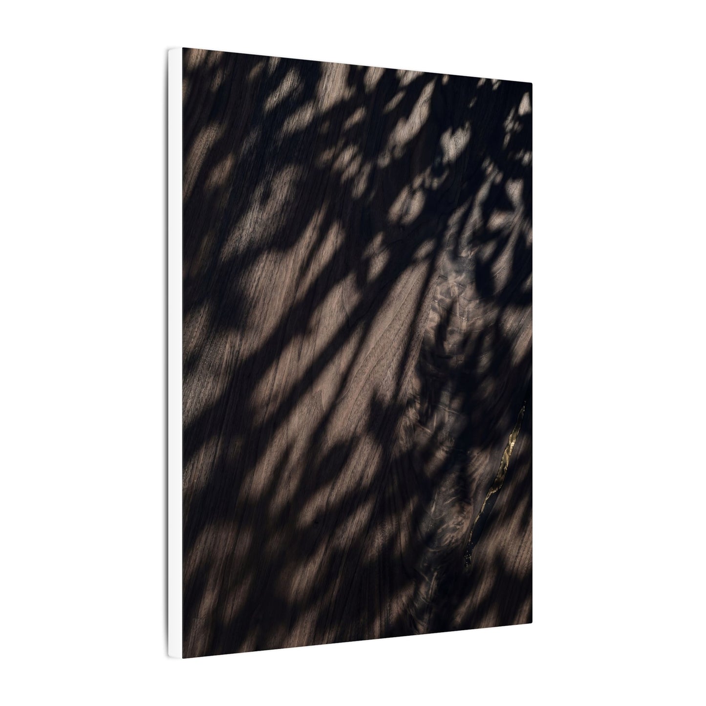 Shadow Play Summer Canvas Art | Dark Japandi Moody Design