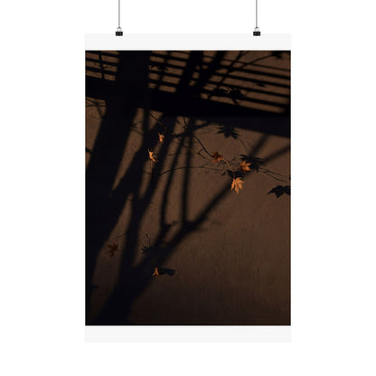 Autumn Shadow Play Shadow Zen Wall Art Print | Sophisticated Decor Art Print