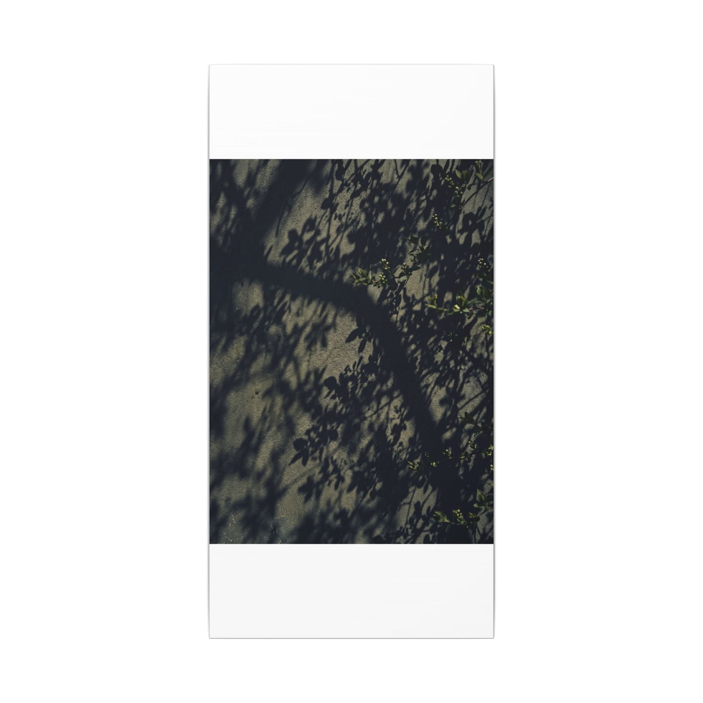Atmospheric Shadow Play Canvas Art - Moody Minimal Dark Japandi