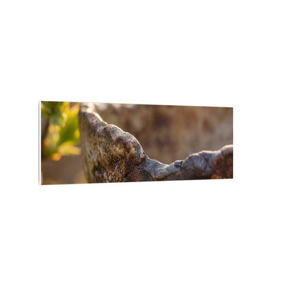 Golden Hour Ceramic Bowl Canvas Art - Dark Japandi Ma