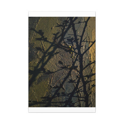 Kanso Shadow Play Canvas Art - Dark Japandi Dark Texture