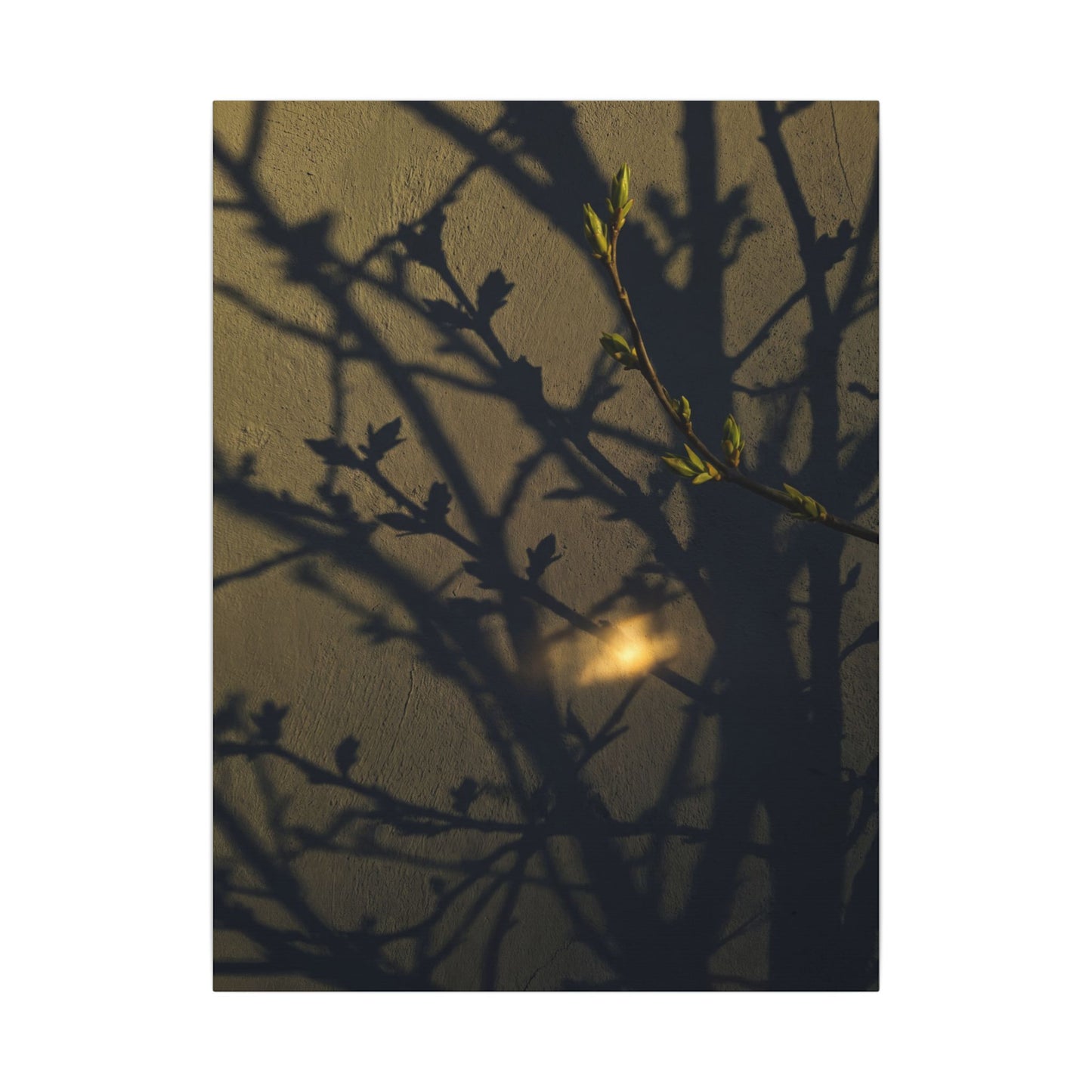 Bold Shadow Play Canvas Art - Moody Minimal Dark Japandi
