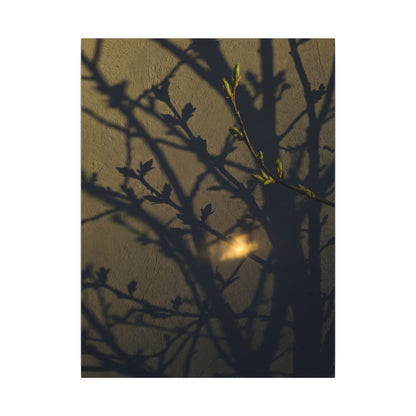 Bold Shadow Play Canvas Art - Moody Minimal Dark Japandi